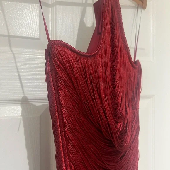 Zara Fringe Dress - Picture 9 of 9